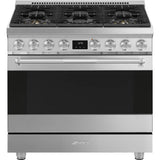 36-Inch Professional Full-Gas Range - Stainless Steel