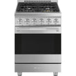 24-Inch Professional Full-Gas Range - Stainless Steel
