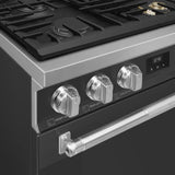 30-Inch Professional Full-Gas Range - Anthracite