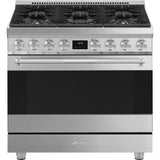 36-Inch Professional Dual-Fuel Range - Stainless Steel
