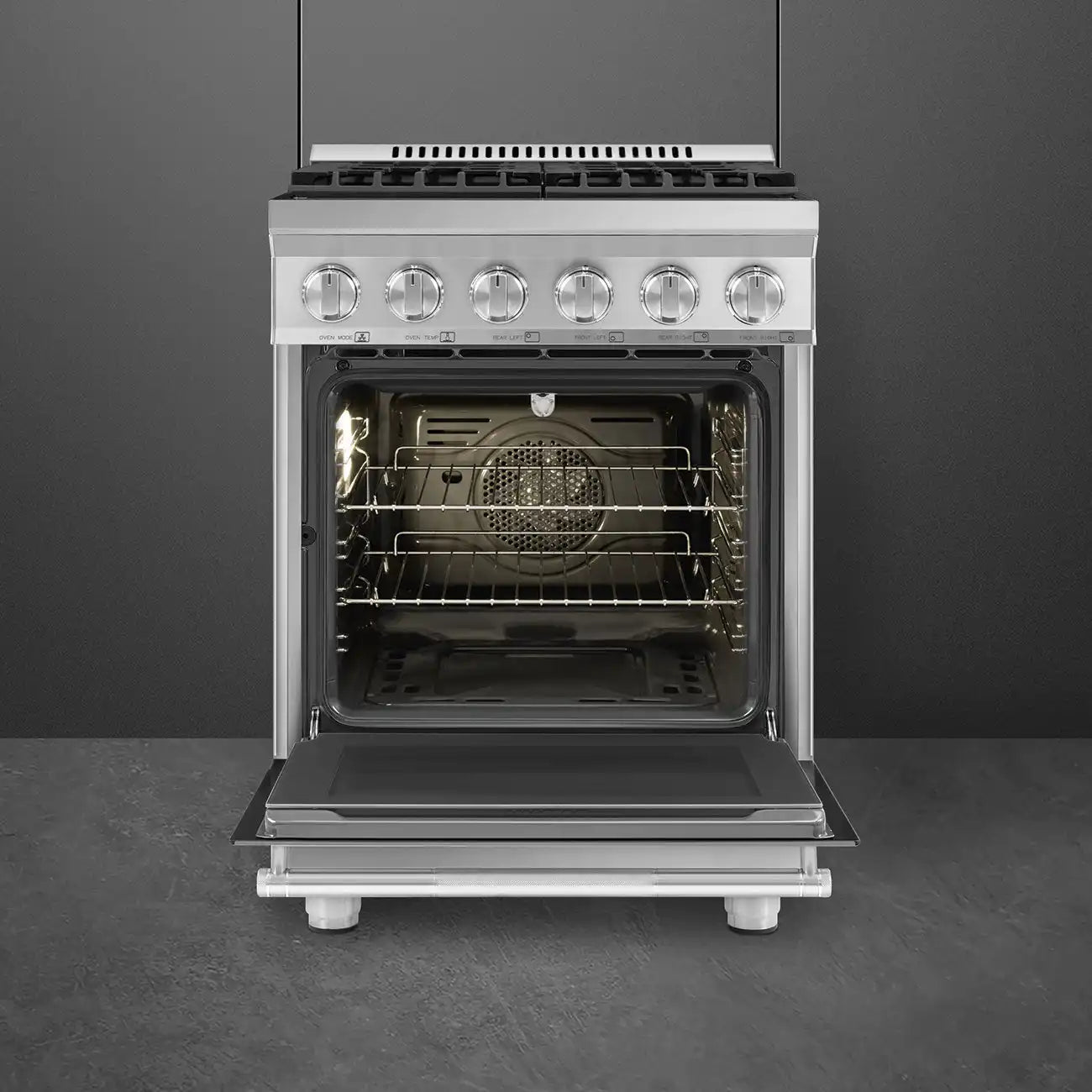 24-Inch Professional Full-Gas Range - Stainless Steel