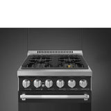 24-Inch Professional Full-Gas Range - Anthracite