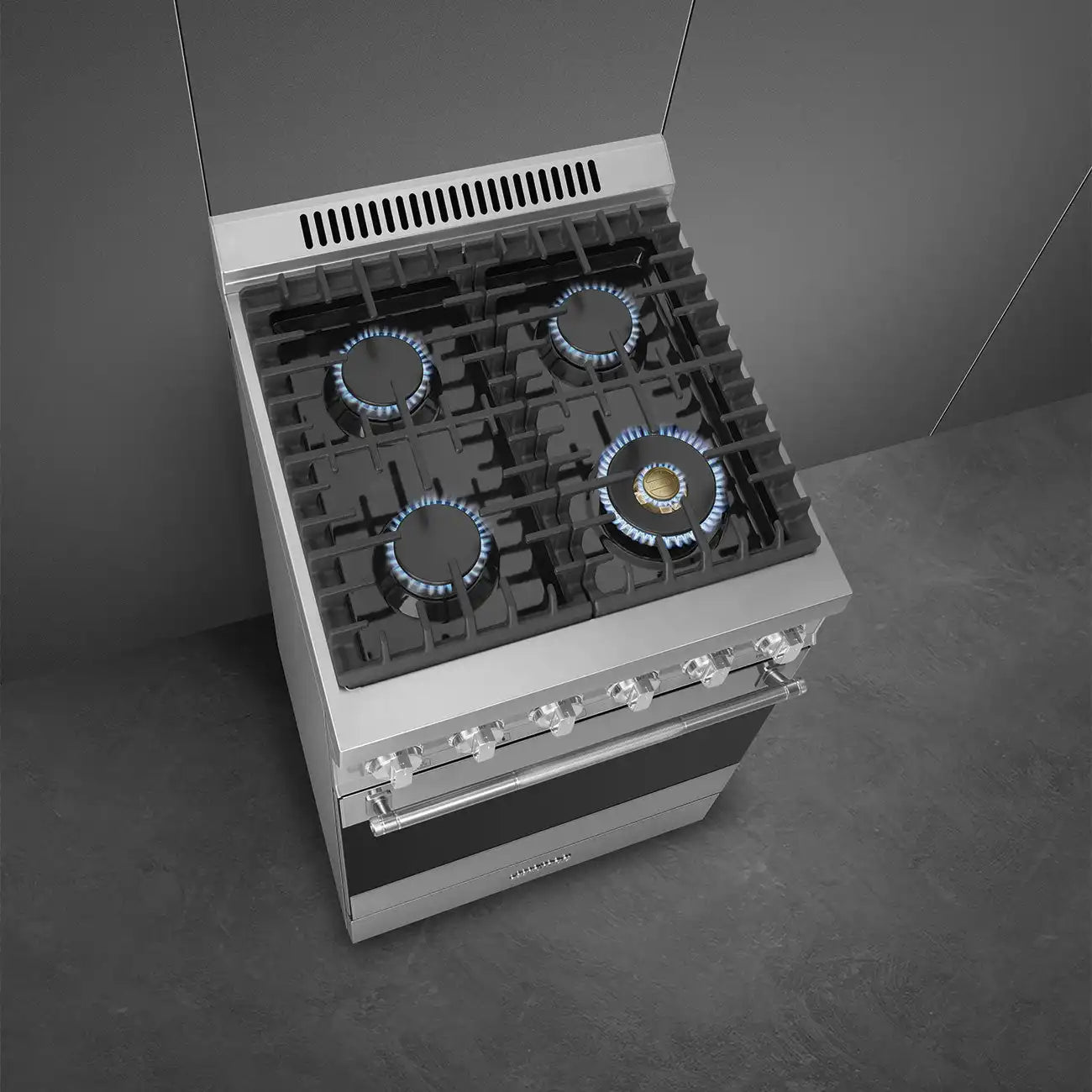 24-Inch Professional Full-Gas Range - Stainless Steel